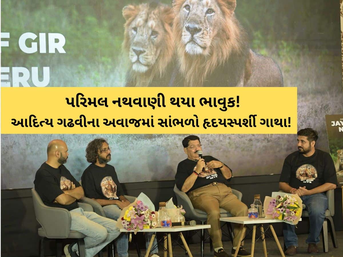 ગર્જનાથી ગાથા સુધી સાંભળો જય-વીરુની દંતકથા! ગીરના બે સિંહો મર્યા નથી…અમર બની ગયા! 