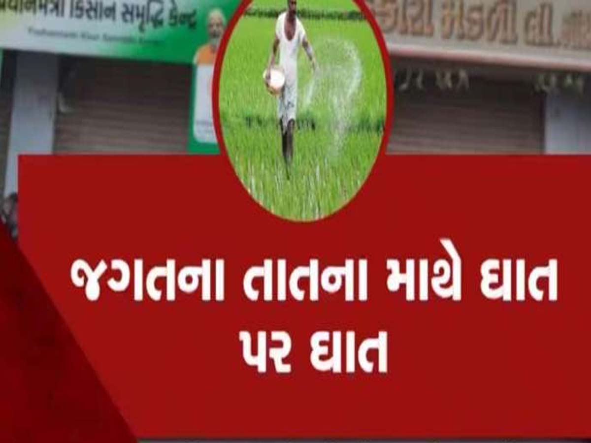 Fertilizer Shortage In Gujarat: ગુજરાતમાં ખાતરની અછત મુદ્દે સૌથી મોટા સમાચાર Fertilizer Shortage In Gujarat: ગુજરાતમાં ખાતરની અછત મુદ્દે સૌથી મોટા સમાચાર