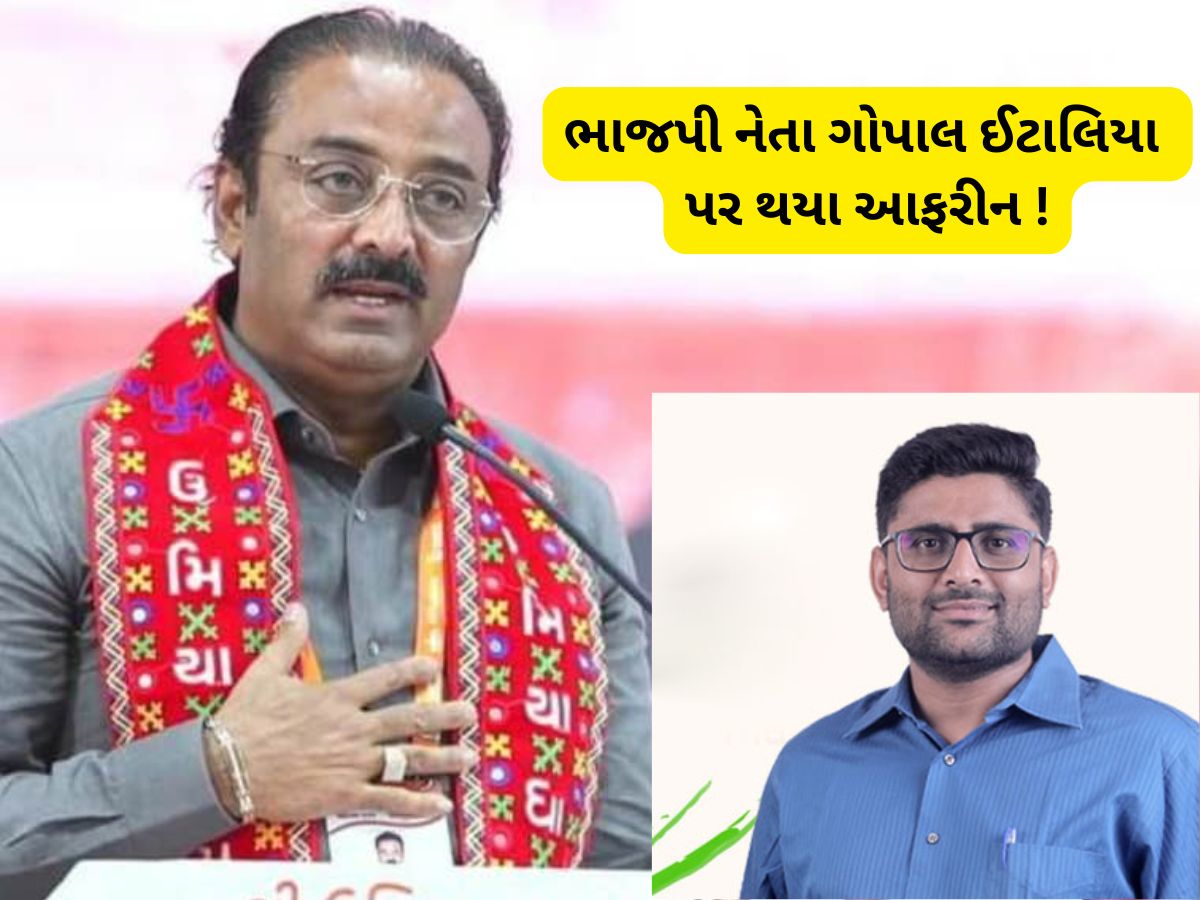 જુનાગઢમાં શું રંધાઈ રહ્યું છે...! ગોપાલ ઈટાલિયાની ધમાકેદાર બેટિંગ પર મોહી ગયા ભાજપના નેતા જુનાગઢમાં શું રંધાઈ રહ્યું છે...! ગોપાલ ઈટાલિયાની ધમાકેદાર બેટિંગ પર મોહી ગયા ભાજપના નેતા