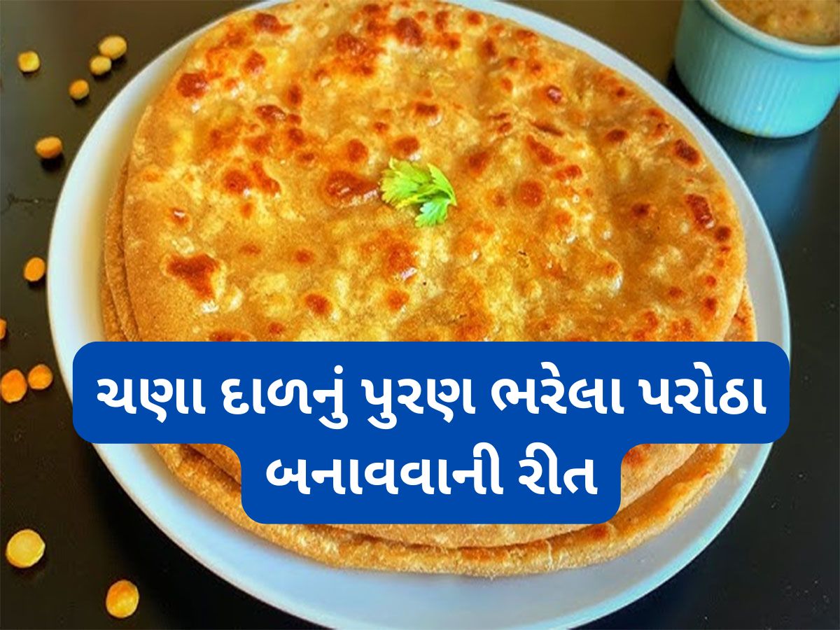 Chana Dal Paratha: આ રીતે ઘરે બનાવો ચણાની દાળનું પુરણ ભરેલા પરોઠા, સવારના નાસ્તા માટે બેસ્ટ ઓપ્શન Chana Dal Paratha: આ રીતે ઘરે બનાવો ચણાની દાળનું પુરણ ભરેલા પરોઠા, સવારના નાસ્તા માટે બેસ્ટ ઓપ્શન