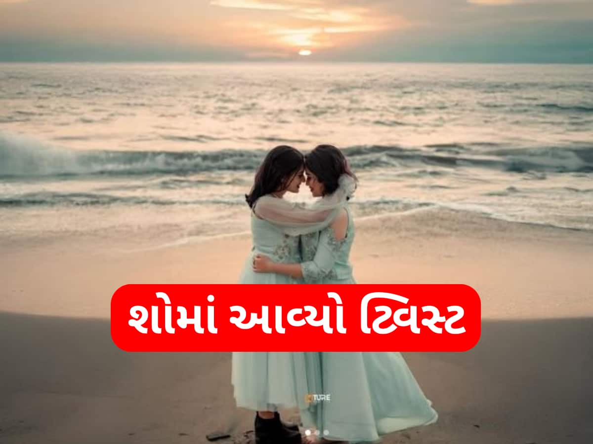 'બિગ બોસ'માં થઈ લેસ્બિયન કપલની એન્ટ્રી, આ રીતે થઈ હતી બન્નેની મુલાકાત