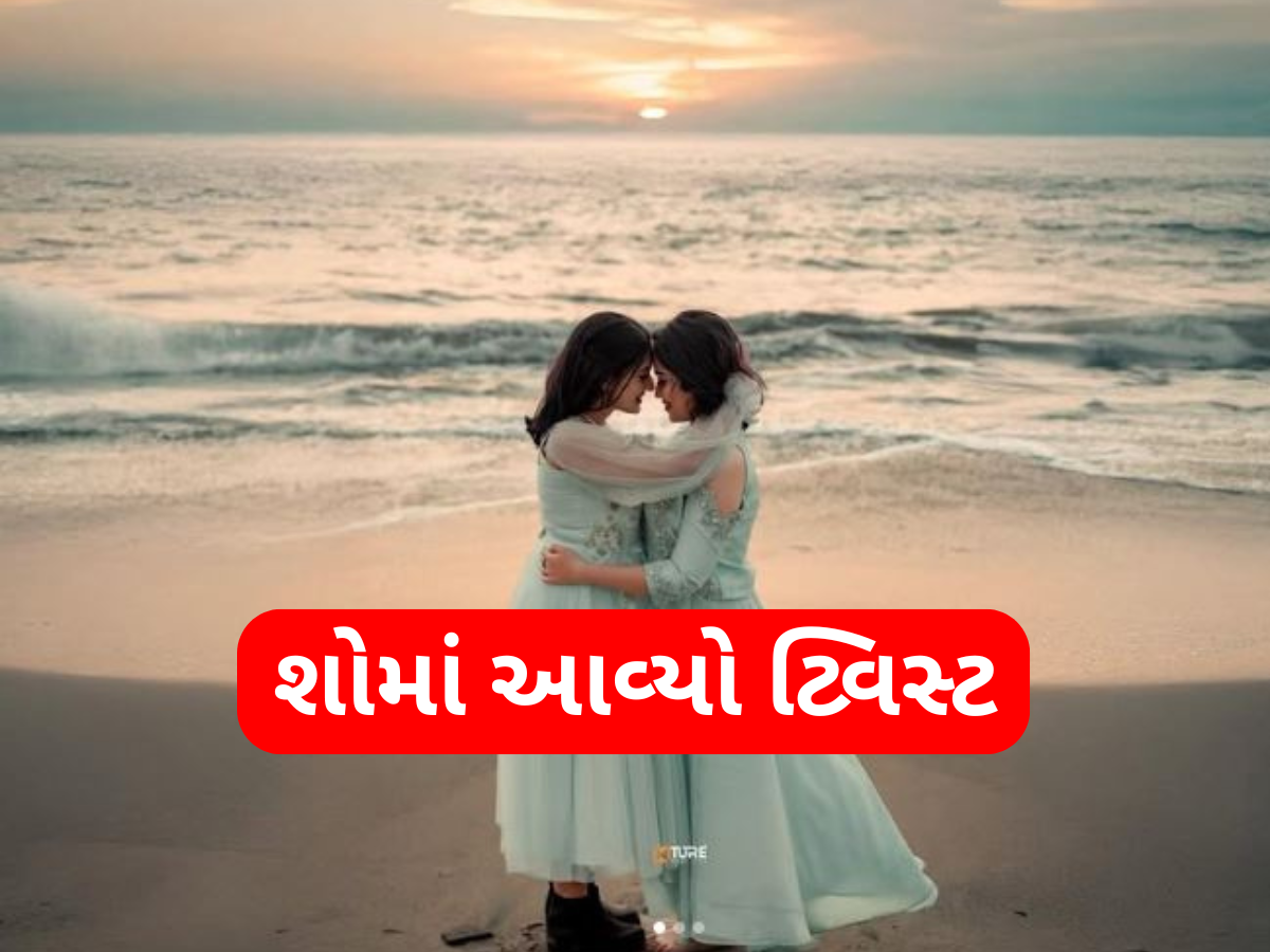 'બિગ બોસ'માં થઈ લેસ્બિયન કપલની એન્ટ્રી, આ રીતે થઈ હતી બન્નેની મુલાકાત 'બિગ બોસ'માં થઈ લેસ્બિયન કપલની એન્ટ્રી, આ રીતે થઈ હતી બન્નેની મુલાકાત