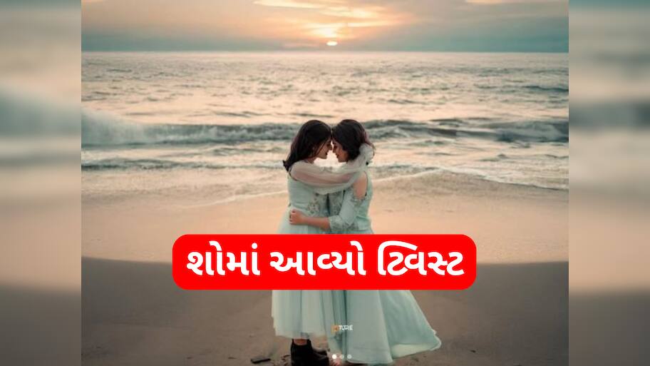 'બિગ બોસ'માં થઈ લેસ્બિયન કપલની એન્ટ્રી, આ રીતે થઈ હતી બન્નેની મુલાકાત
