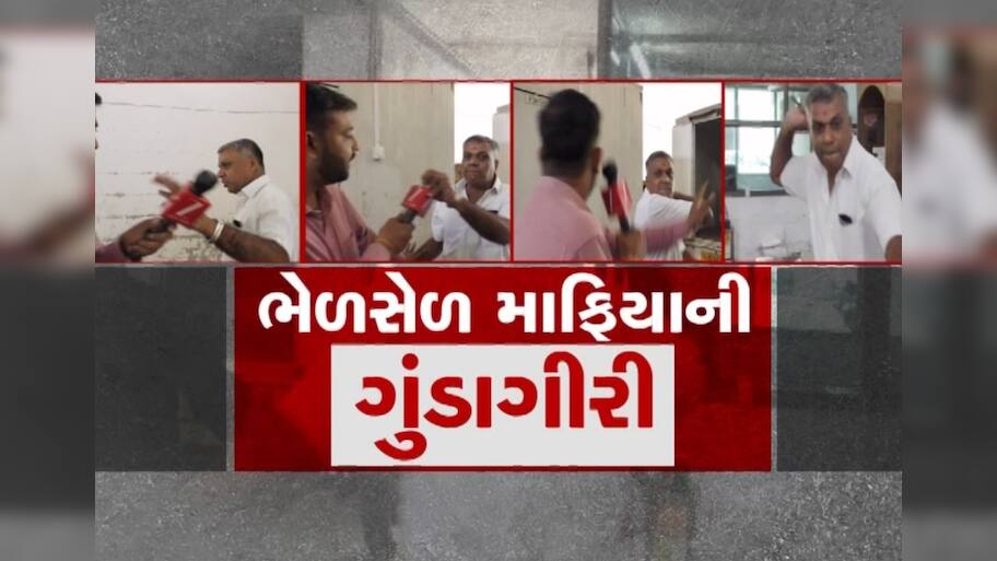 Z 24 કલાકના પત્રકાર પર પનીર માફિયા દ્વારા હુમલાનો મામલો, ગૃહ રાજ્યમંત્રીએ કાર્યવાહીની આપી ખાતરી