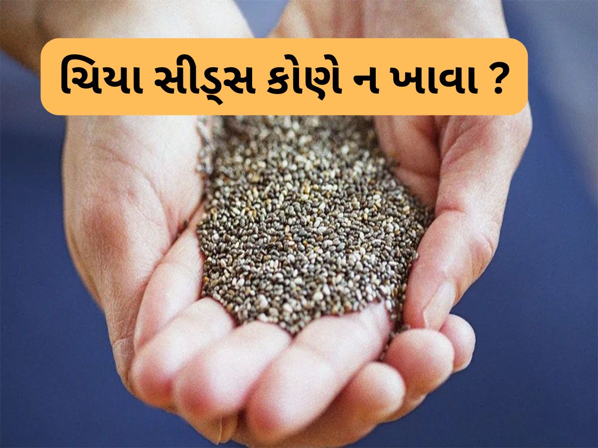 Chia Seeds: બીપી સહિત આ 5 સમસ્યા હોય તેણે ન ખાવા ચિયા સીડ્સ, ફાયદાને બદલે નુકસાન કરશે Chia Seeds: બીપી સહિત આ 5 સમસ્યા હોય તેણે ન ખાવા ચિયા સીડ્સ, ફાયદાને બદલે નુકસાન કરશે