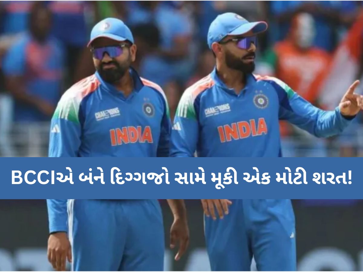 વિરાટ-રોહિતના ચાહકોને મોટો ઝટકો, બંને દિગ્ગજો માટે 2027નો વર્લ્ડ કપ રમવો મુશ્કેલ! BCCIએ રાખી આ શરત વિરાટ-રોહિતના ચાહકોને મોટો ઝટકો, બંને દિગ્ગજો માટે 2027નો વર્લ્ડ કપ રમવો મુશ્કેલ! BCCIએ રાખી આ શરત