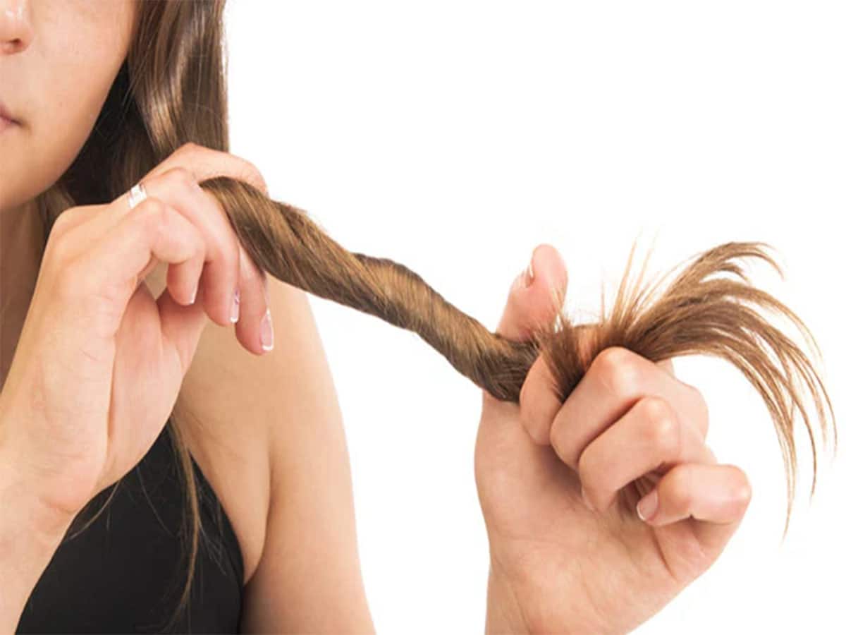 Hair Care: ચોટી થઈ ગઈ છે એકદમ પાતળી? તો નાળિયેર તેલમાં આ 3 વસ્તુ મિક્સ કરી લગાડો, વાળની કાયાપલટ થઈ જશે