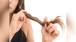 Hair Care: ચોટી થઈ ગઈ છે એકદમ પાતળી? તો નાળિયેર તેલમાં આ 3 વસ્તુ મિક્સ કરી લગાડો