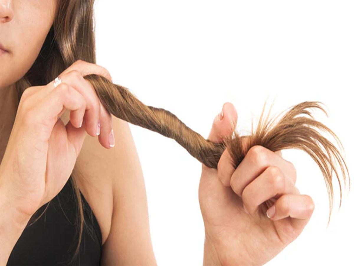 Hair Care: ચોટી થઈ ગઈ છે એકદમ પાતળી? તો નાળિયેર તેલમાં આ 3 વસ્તુ મિક્સ કરી લગાડો, વાળની કાયાપલટ થઈ જશે Hair Care: ચોટી થઈ ગઈ છે એકદમ પાતળી? તો નાળિયેર તેલમાં આ 3 વસ્તુ મિક્સ કરી લગાડો, વાળની કાયાપલટ થઈ જશે