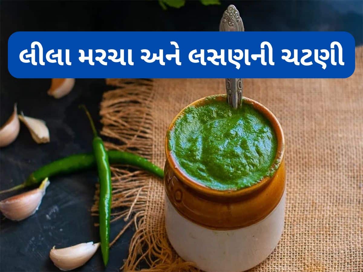 Green Chutney: ઘરે આ રીતે બનાવો લીલા મરચાંની ચટણી, સેન્ડવીચથી લઈ ભજીયા સુધી દરેક વસ્તુ સાથે બેસ્ટ લાગશે