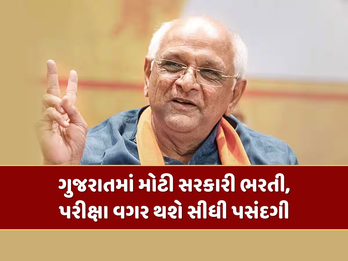 ગુજરાતમાં મોટી સરકારી ભરતી, ધોરણ 10-12 પાસ માટે સુવર્ણ તક, પરીક્ષા વગર થશે સીધી પસંદગી ગુજરાતમાં મોટી સરકારી ભરતી, ધોરણ 10-12 પાસ માટે સુવર્ણ તક, પરીક્ષા વગર થશે સીધી પસંદગી