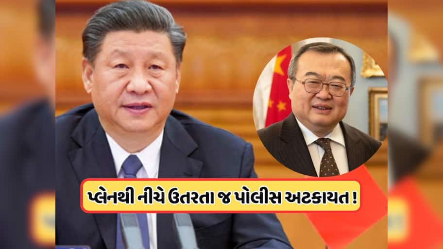 ચીનની સત્તામાં ભૂકંપ, પ્રવાસ પરથી પાછા ફરતાની સાથે જ વિદેશ મંત્રી બનનાર લિયુ જિયાનચાઓની ધરપકડ