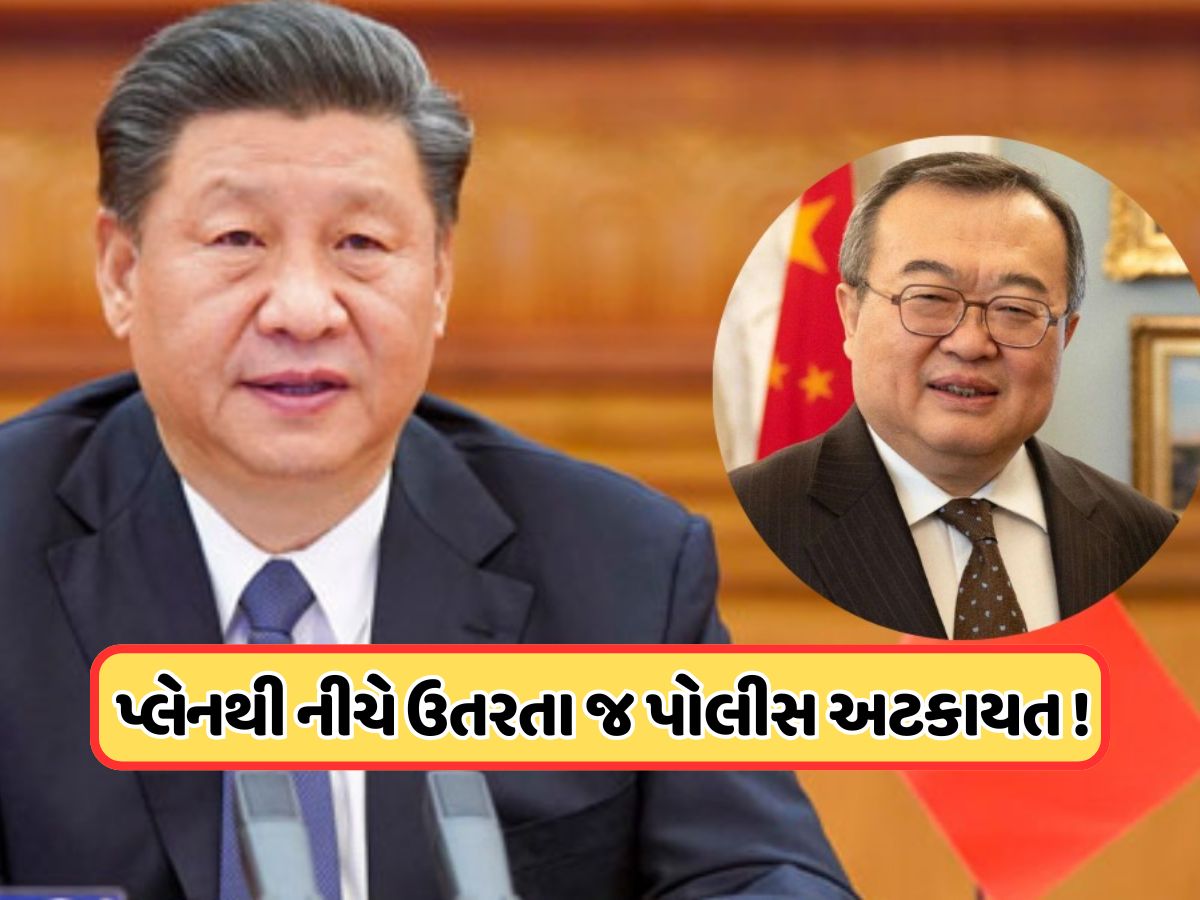 ચીનની સત્તામાં ભૂકંપ, પ્રવાસ પરથી પાછા ફરતાની સાથે જ વિદેશ મંત્રી બનનાર લિયુ જિયાનચાઓની ધરપકડ ચીનની સત્તામાં ભૂકંપ, પ્રવાસ પરથી પાછા ફરતાની સાથે જ વિદેશ મંત્રી બનનાર લિયુ જિયાનચાઓની ધરપકડ