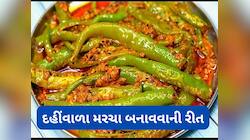 Recipe: ઘરે બનાવો દહીંવાળા મરચા, પરોઠા સાથે શાક બનાવવાની જરૂર નહીં પડે