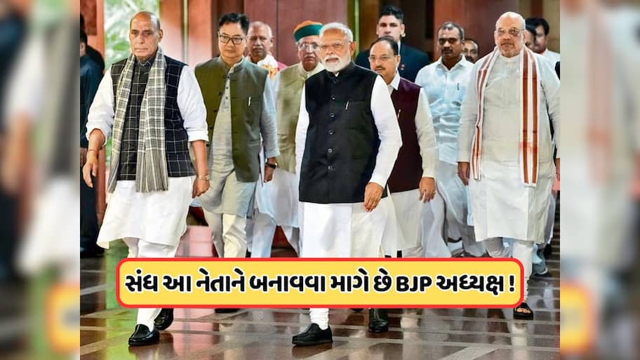 અધ્યક્ષને લઈને ભાજપમાં ક્યાં ફસાયો છે પેચ, RSS સાથે આ નેતાના નામ પર મતભેદ ?
