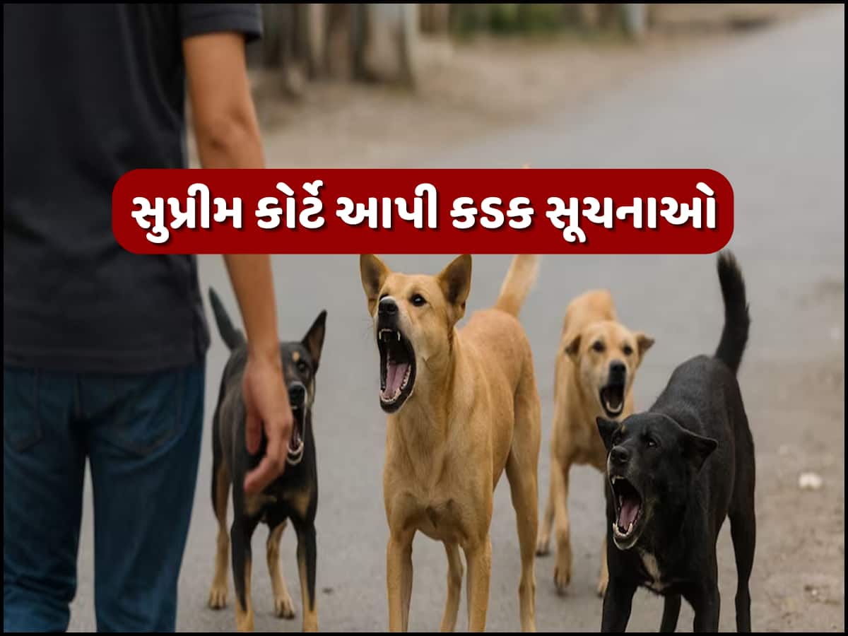 'રખડતા શ્વાન પર SCનો આદેશ દરેક શહેરમાં કરવામાં આવે લાગુ' ચિદમ્બરમે કેમ કરી આ માંગ