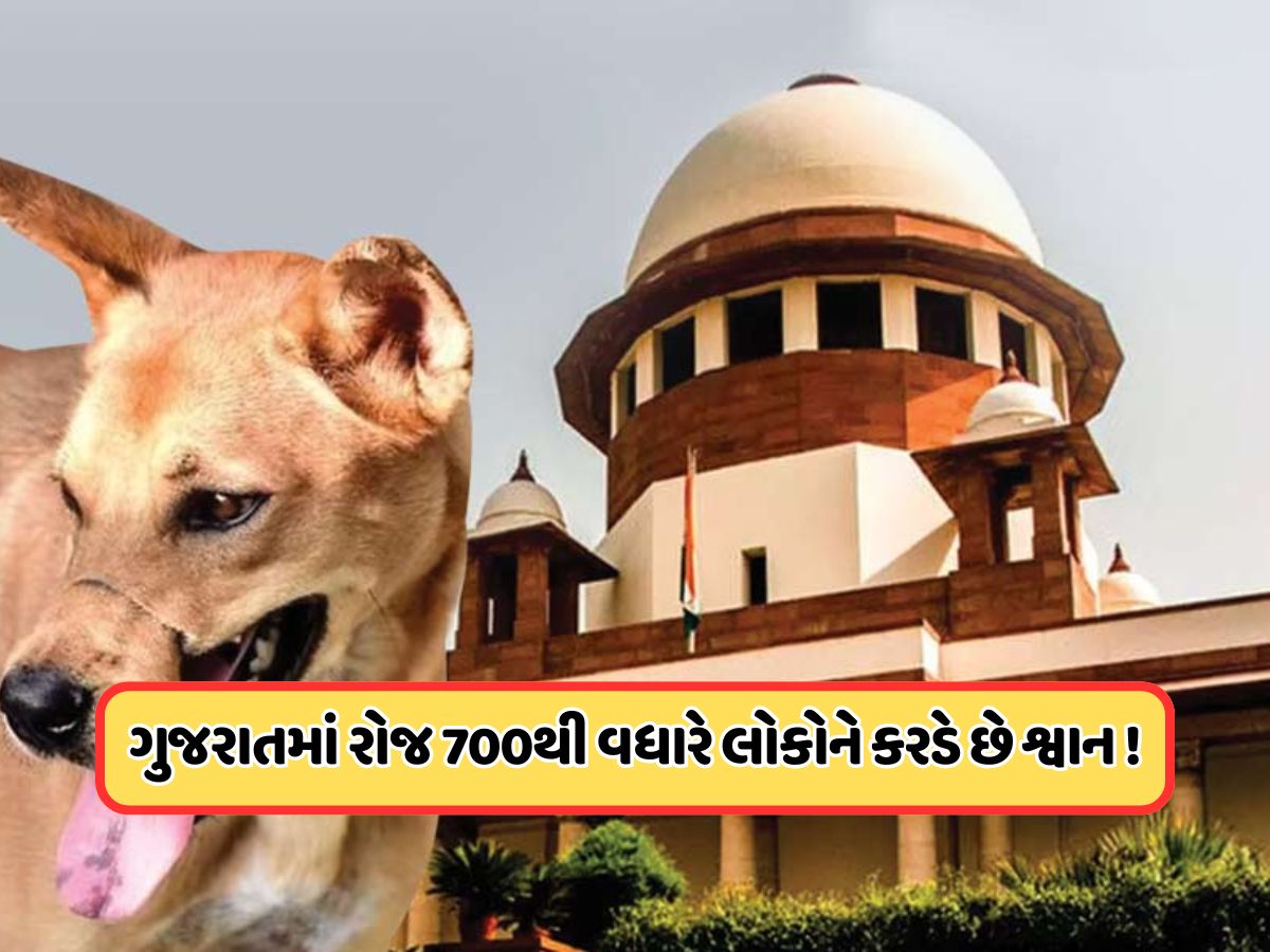 SCનો રખડતા ડોગ પર મોટો આદેશ, ગુજરાત શ્વાન કરડવાના કેસ ટોપ 5માં, જાણો SCનો રખડતા ડોગ પર મોટો આદેશ, ગુજરાત શ્વાન કરડવાના કેસ ટોપ 5માં, જાણો