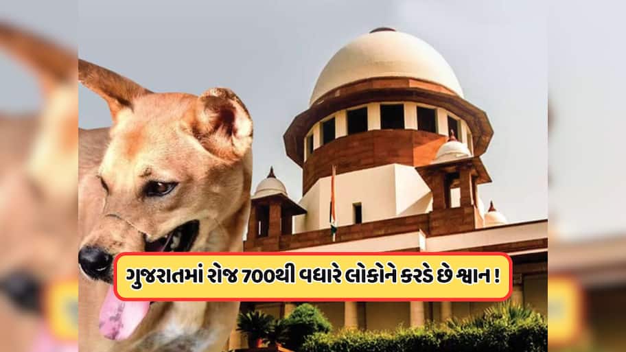SCનો રખડતા ડોગ પર મોટો આદેશ, ગુજરાત શ્વાન કરડવાના કેસ ટોપ 5માં, જાણો
