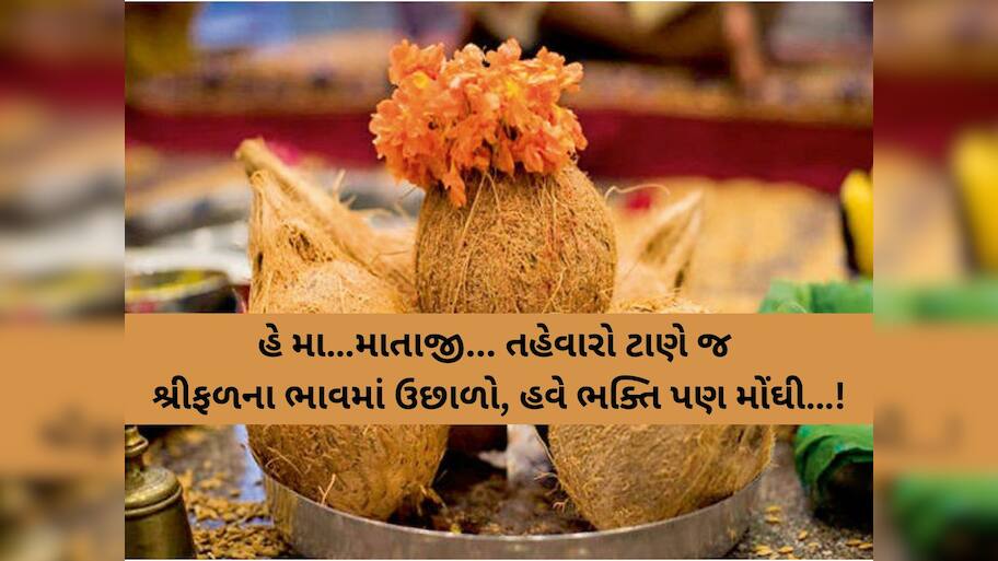 હવે પૂજા કરવામાં પણ મોંઘવારી નડશે! શ્રીફળના ભાવમાં તોતિંગ વધારો, મહિને પડશે આટલાનો ફટકો!