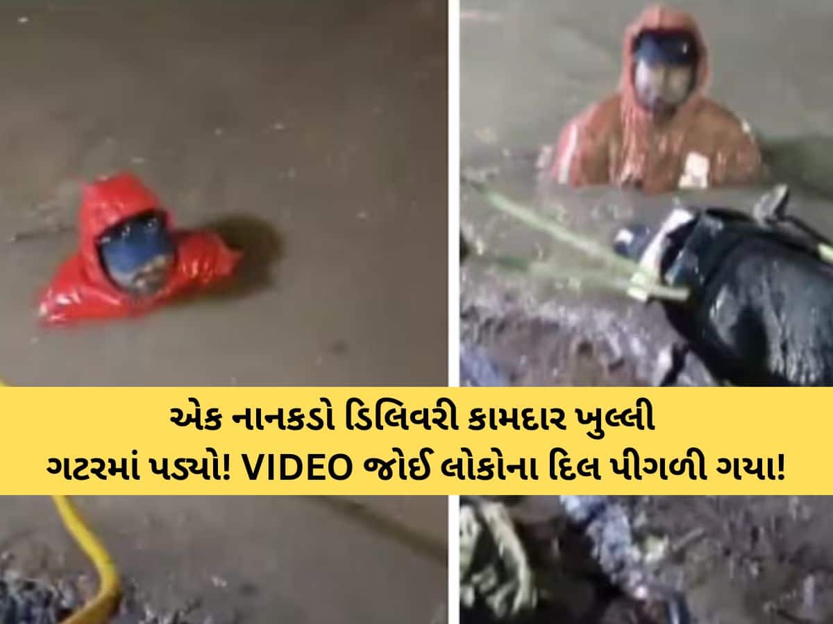 હૈદરાબાદના શેરીઓમાં એક એવી ઘટના બની કે જે દરેકના દિલને હચમચાવી ગઈ! VIDEO વાયરલ
