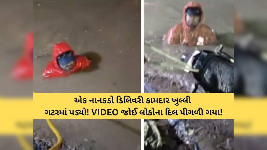 હૈદરાબાદના શેરીઓમાં એક એવી ઘટના બની કે જે દરેકના દિલને હચમચાવી ગઈ! VIDEO વાયરલ