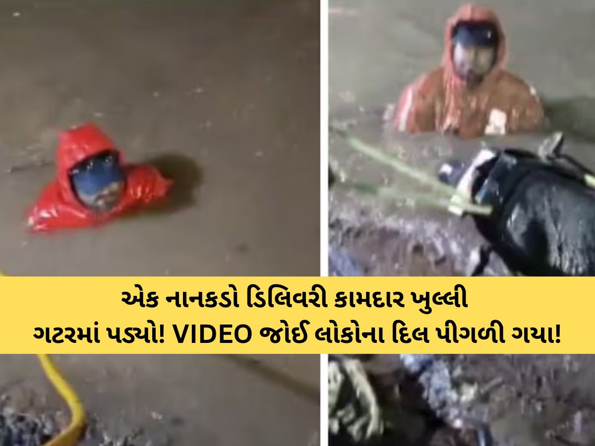 હૈદરાબાદના શેરીઓમાં એક એવી ઘટના બની કે જે દરેકના દિલને હચમચાવી ગઈ! VIDEO વાયરલ હૈદરાબાદના શેરીઓમાં એક એવી ઘટના બની કે જે દરેકના દિલને હચમચાવી ગઈ! VIDEO વાયરલ