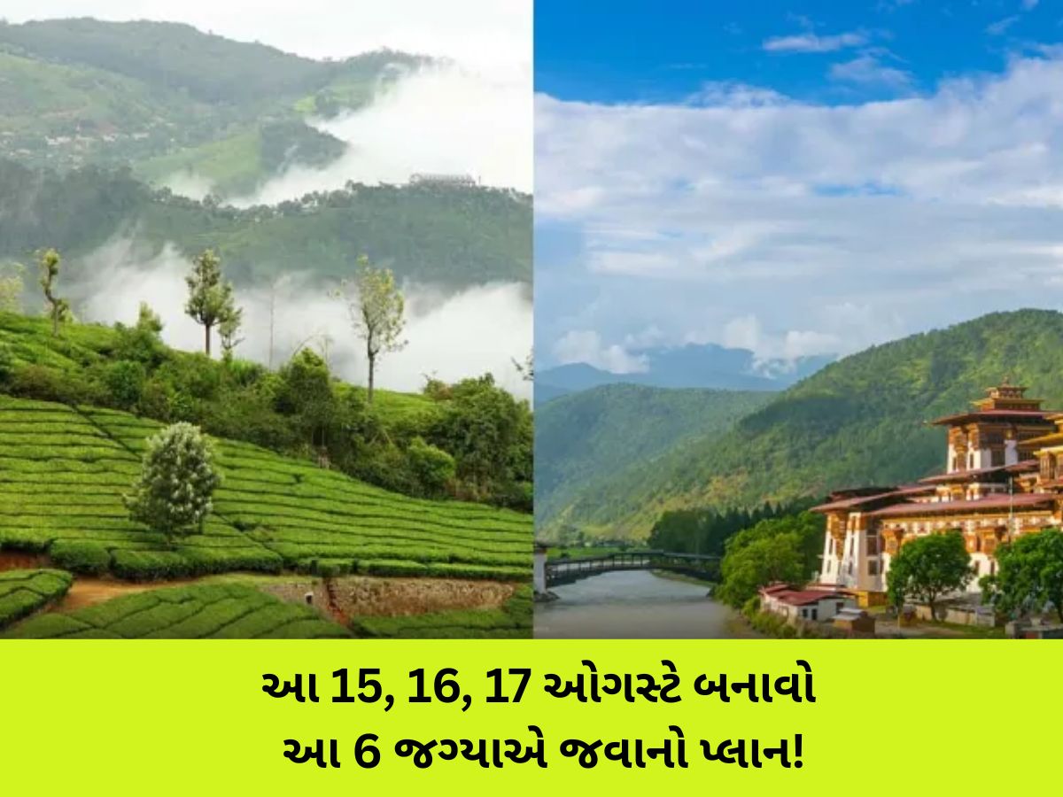 15 ઓગસ્ટથી શરૂ થતાં વીકેન્ડમાં ક્યા ફરવા જશો? આ 6 ડેસ્ટિનેશન બનાવશે તમારી ટ્રિપ યાદગાર 15 ઓગસ્ટથી શરૂ થતાં વીકેન્ડમાં ક્યા ફરવા જશો? આ 6 ડેસ્ટિનેશન બનાવશે તમારી ટ્રિપ યાદગાર