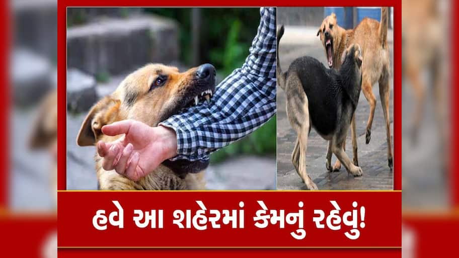 દરરોજ 700થી વધુ લોકો બને છે કૂતરાનો શિકાર, ટોપના 5 રાજ્યોમાં ગુજરાત સામેલ