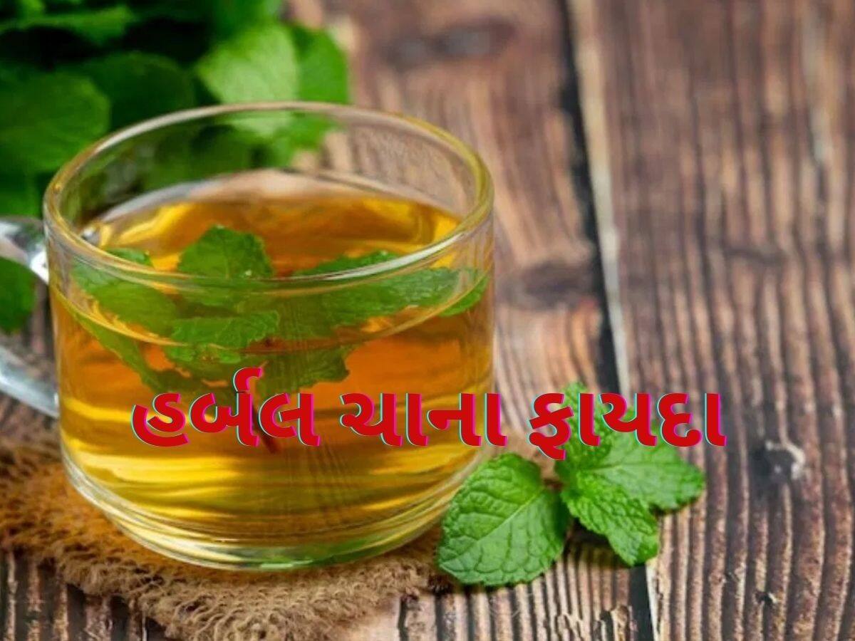 ફક્ત 5 રૂપિયામાં તૈયાર થશે આ હર્બલ ચા, સવારે ખાલી પેટ પીવાથી ગેસ અને કબજિયાત દૂર થશે