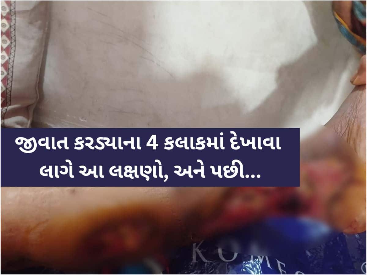 ગુજરાતના આ ગામડામાં અજાણી ઝેરી જીવાતથી લોકોમાં ભયનો માહોલ, જાણો કરડ્યા પછી શું થાય છે?