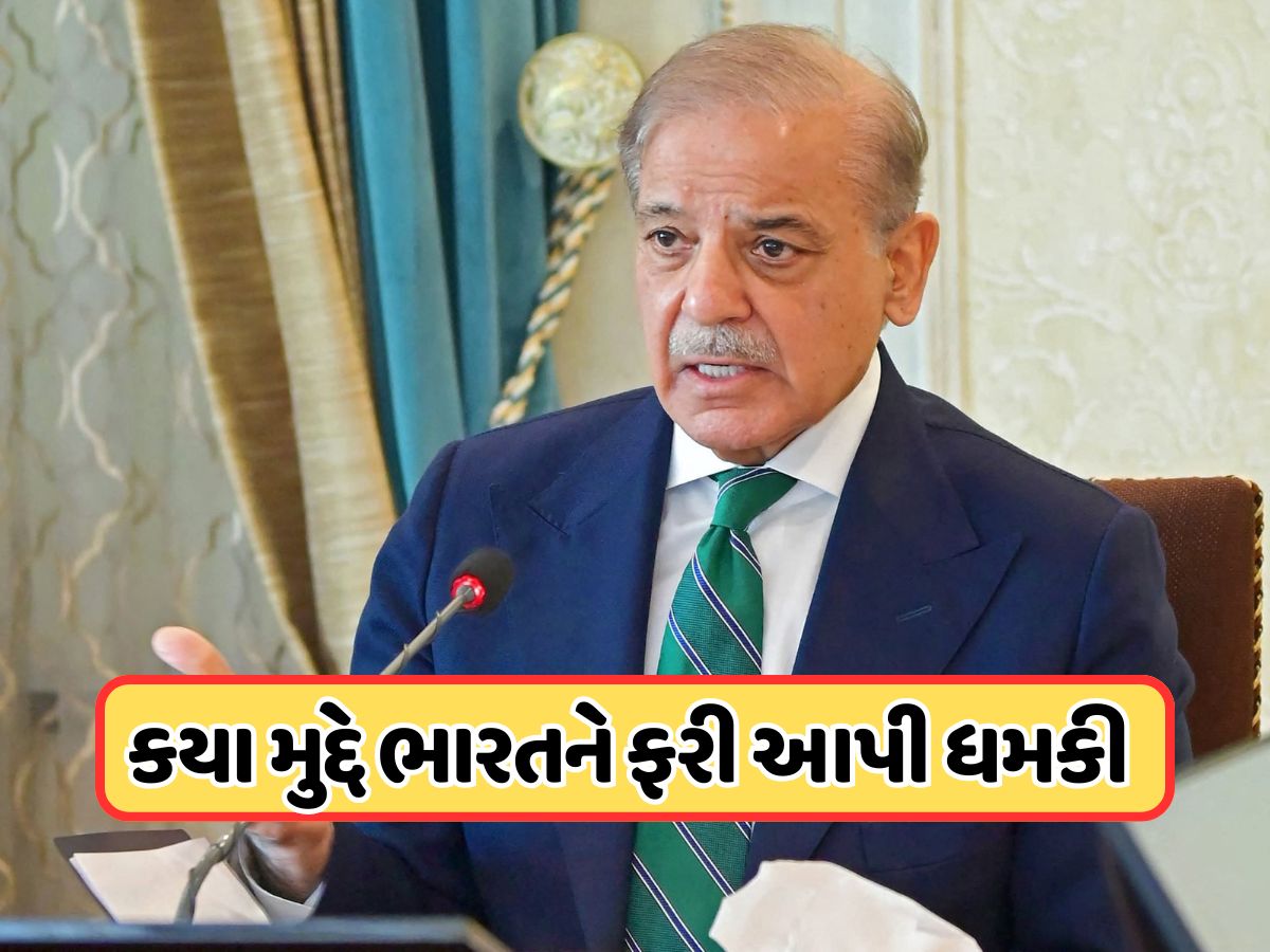 મુનીર, બિલાવલ બાદ, હવે પાકિસ્તાનના PM શરીફે ભારતને આપી ધમકી, જાણો મુનીર, બિલાવલ બાદ, હવે પાકિસ્તાનના PM શરીફે ભારતને આપી ધમકી, જાણો
