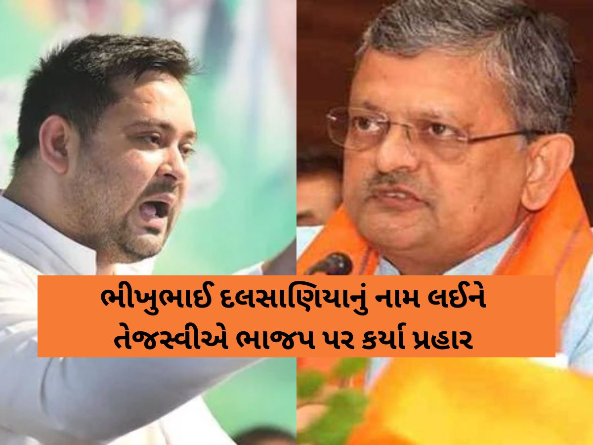 'ગુજરાતના લોકો બિહારમાં બની રહ્યા છે મતદાર', ભીખુભાઈ દલસાણિયાનું નામ ચર્ચામાં; તેજસ્વીએ કર્યા પ્રહાર 'ગુજરાતના લોકો બિહારમાં બની રહ્યા છે મતદાર', ભીખુભાઈ દલસાણિયાનું નામ ચર્ચામાં; તેજસ્વીએ કર્યા પ્રહાર