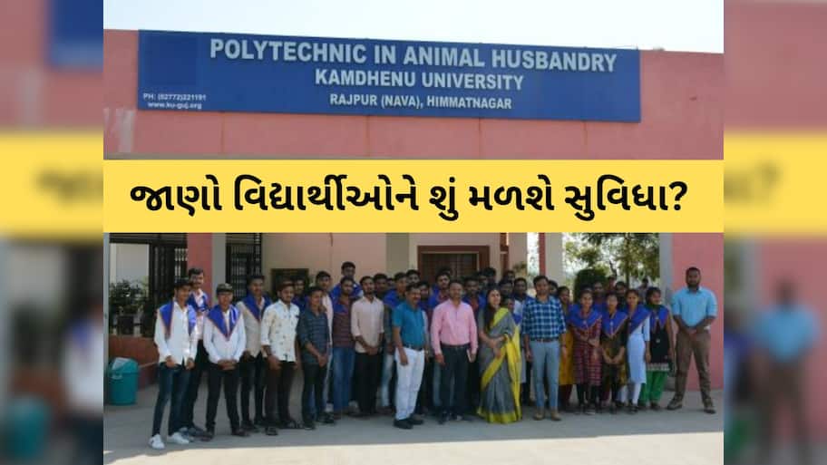 ગુજરાતને વધુ એક પશુ ચિકિત્સા-પશુપાલન કૉલેજની ભેટ; આગામી મહિનાથી શરૂ, જાણો પ્રવેશ અને કોર્સ વિશે...