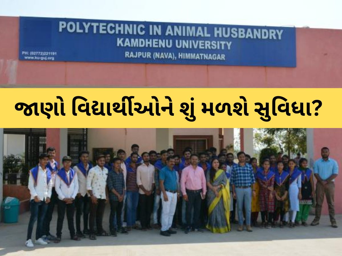 ગુજરાતને વધુ એક પશુ ચિકિત્સા-પશુપાલન કૉલેજની ભેટ; આગામી મહિનાથી શરૂ, જાણો પ્રવેશ અને કોર્સ વિશે... ગુજરાતને વધુ એક પશુ ચિકિત્સા-પશુપાલન કૉલેજની ભેટ; આગામી મહિનાથી શરૂ, જાણો પ્રવેશ અને કોર્સ વિશે...