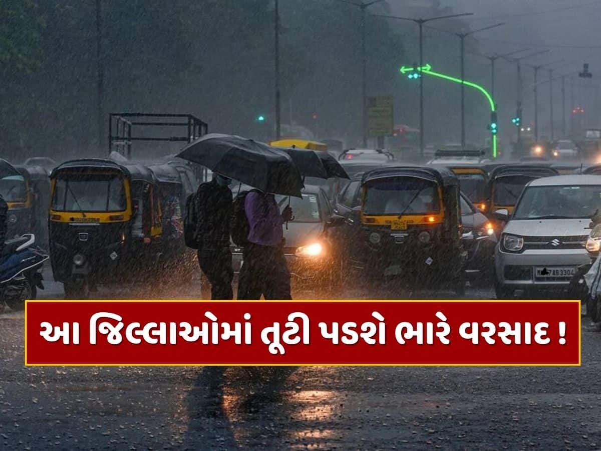IMD Alert : આગામી 48 કલાક ભારે ! આ જિલ્લાઓમાં તૂટી પડશે ધોધમાર વરસાદ, હવામાન વિભાગે કરી આગાહી 