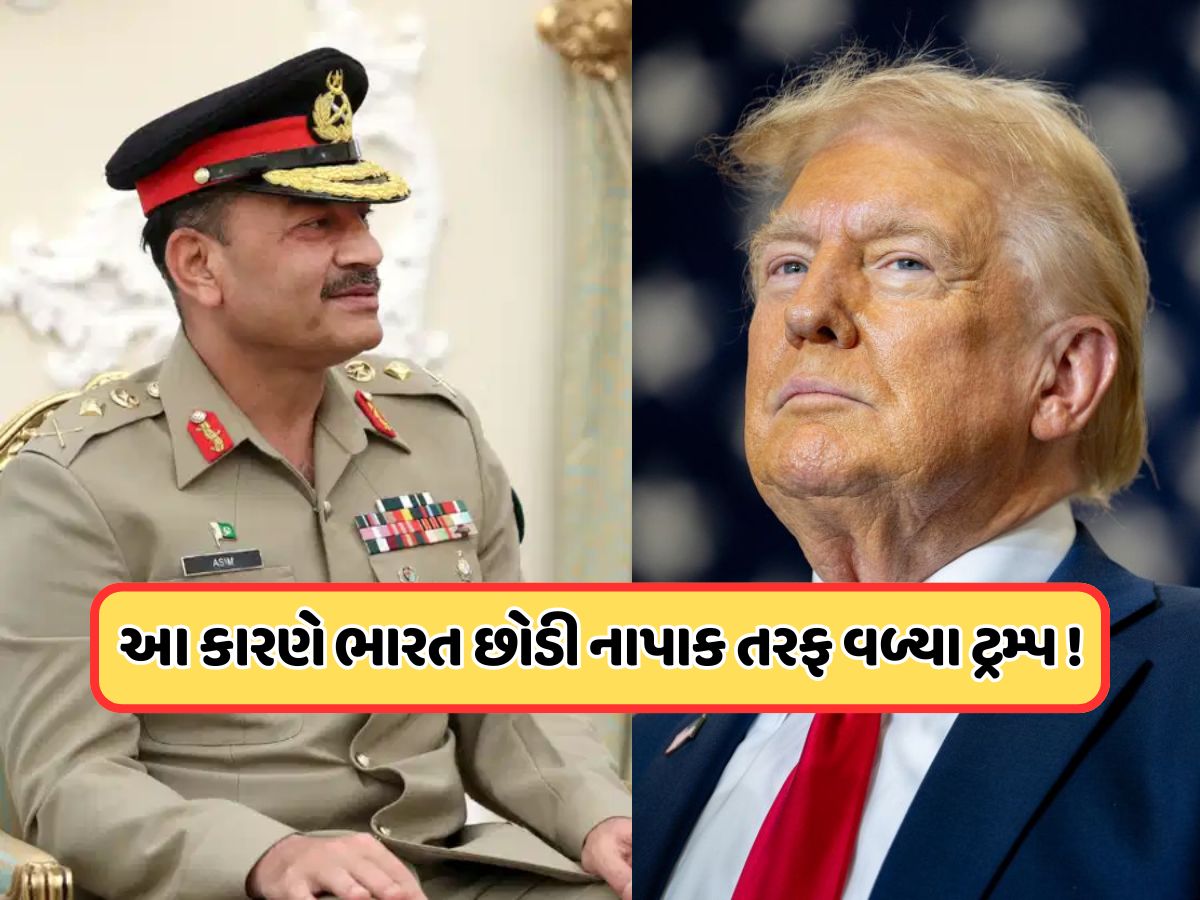 પાકિસ્તાનના પક્ષમાં કેમ જઈ રહ્યા છે ટ્રમ્પ ? અમેરિકન એક્સપર્ટે ભારતને જણાવી અંદરની વાત પાકિસ્તાનના પક્ષમાં કેમ જઈ રહ્યા છે ટ્રમ્પ ? અમેરિકન એક્સપર્ટે ભારતને જણાવી અંદરની વાત
