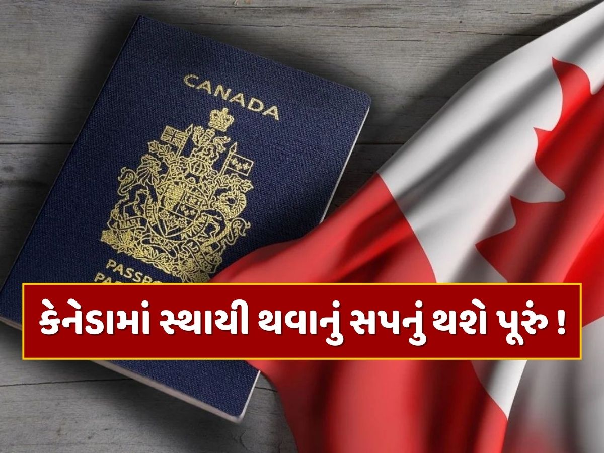 ભારતીયો માટે ખુશખબર...કેનેડામાં સ્થાયી થવાનું સપનું થશે પૂરું ! ટૂંક સમયમાં શરૂ થશે નવી ઇમિગ્રેશન સ્કીમ ભારતીયો માટે ખુશખબર...કેનેડામાં સ્થાયી થવાનું સપનું થશે પૂરું ! ટૂંક સમયમાં શરૂ થશે નવી ઇમિગ્રેશન સ્કીમ