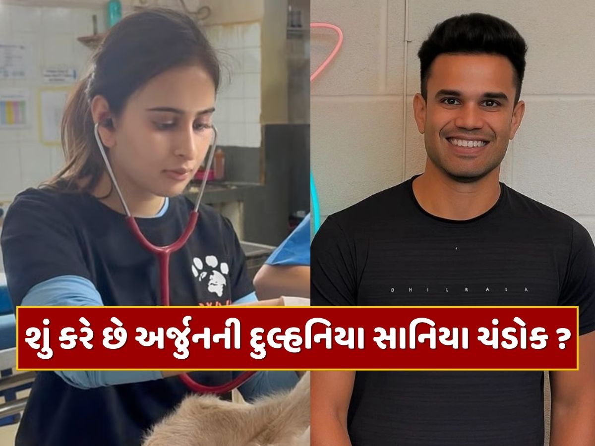 બાપ-દાદાની કરોડોની સંપત્તિ...અર્જુનની થનારી દુલ્હન પોતે શું કરે છે ? આ પોસ્ટ થઈ રહી છે વાયરલ બાપ-દાદાની કરોડોની સંપત્તિ...અર્જુનની થનારી દુલ્હન પોતે શું કરે છે ? આ પોસ્ટ થઈ રહી છે વાયરલ