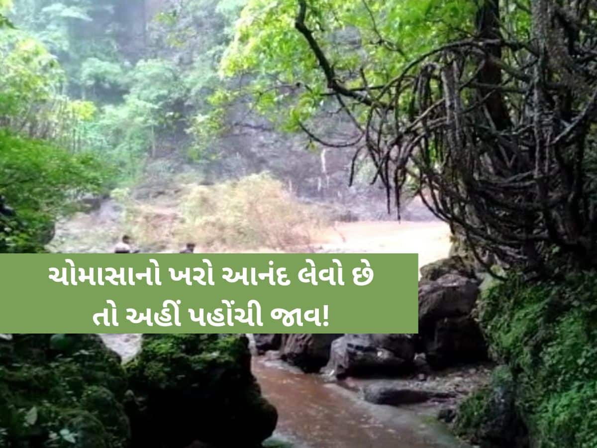 ગુજરાતનો આ જિલ્લો બન્યું ગુજરાતનું ‘મિનિ કાશ્મીર’, કુદરતી સૌંદર્ય જોઈ પ્રવાસીઓ મંત્રમુગ્ધ, તમે પણ નિહાળો...