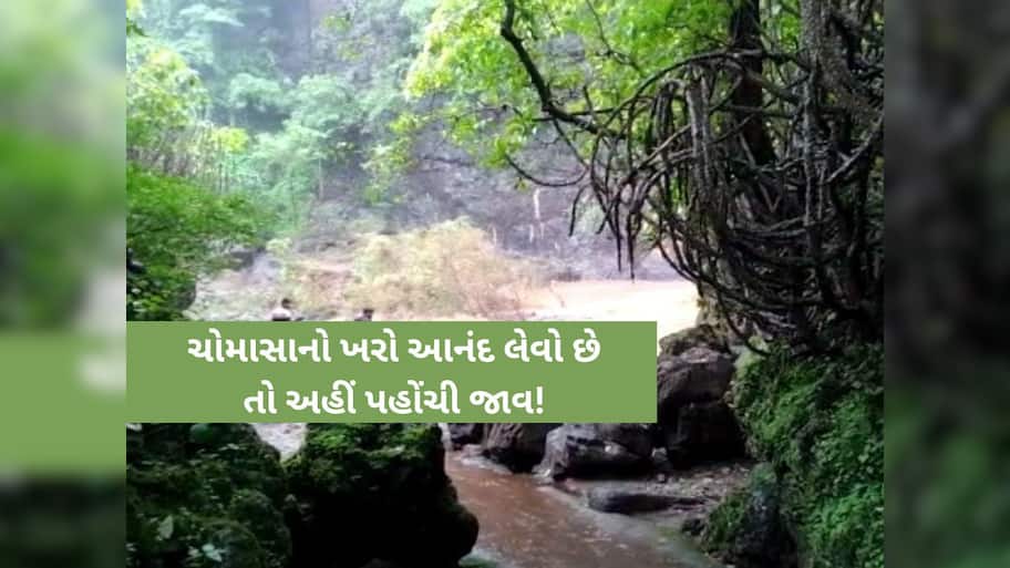 ગુજરાતનો આ જિલ્લો બન્યું ગુજરાતનું ‘મિનિ કાશ્મીર’, કુદરતી સૌંદર્ય જોઈ પ્રવાસીઓ મંત્રમુગ્ધ, તમે પણ નિહાળો...