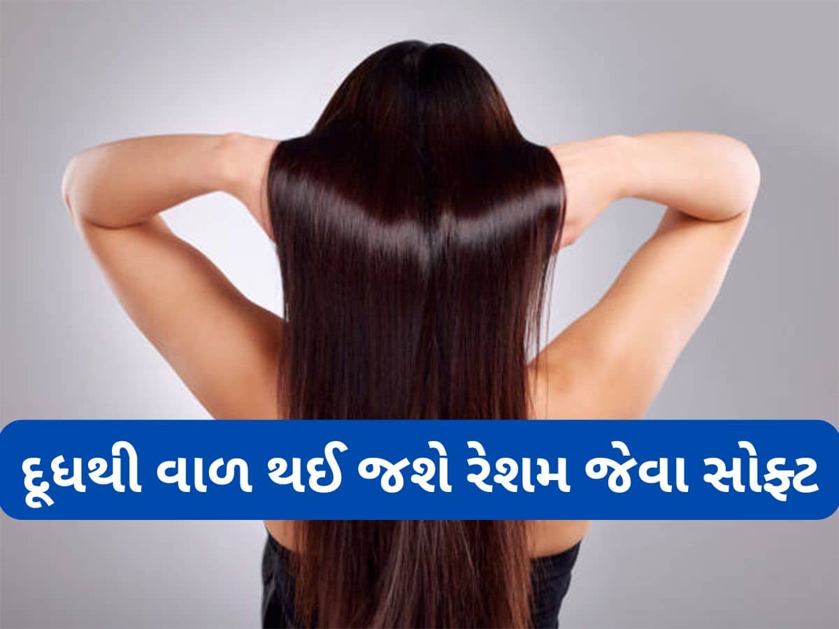Dry Hair: ડ્રાય વાળમાં આ વસ્તુ સાથે મિક્સ કરી લગાડો દૂધ, વાળ થઈ જશે સુપરસોફ્ટ અને શાઈની