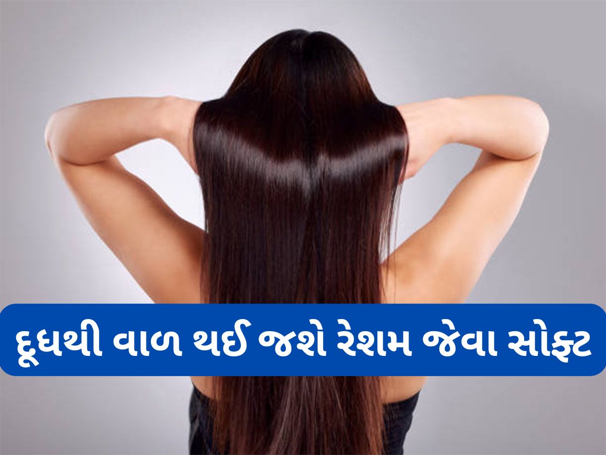 Dry Hair: ડ્રાય વાળમાં આ વસ્તુ સાથે મિક્સ કરી લગાડો દૂધ, વાળ થઈ જશે સુપરસોફ્ટ અને શાઈની Dry Hair: ડ્રાય વાળમાં આ વસ્તુ સાથે મિક્સ કરી લગાડો દૂધ, વાળ થઈ જશે સુપરસોફ્ટ અને શાઈની