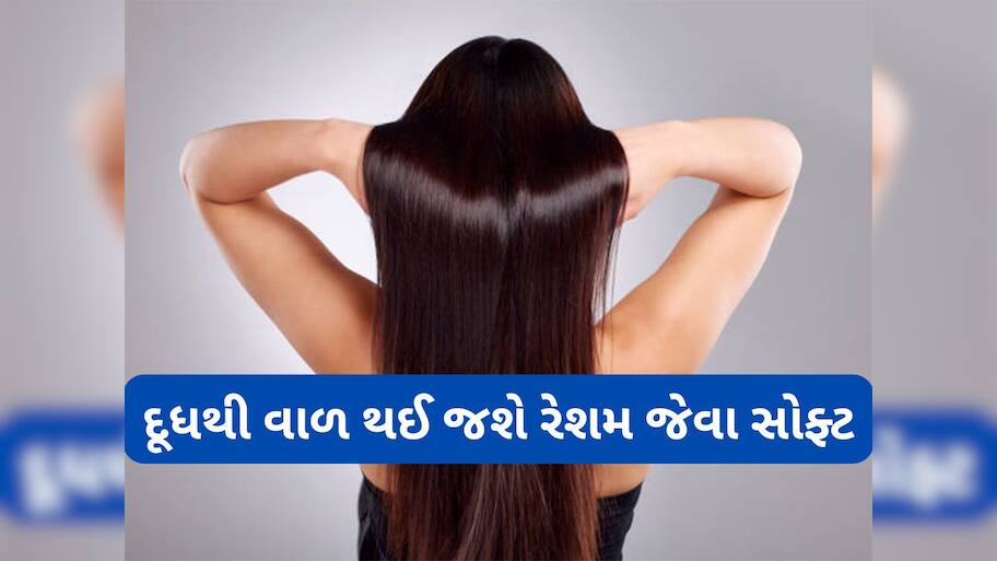 Dry Hair: ડ્રાય વાળમાં આ વસ્તુ સાથે મિક્સ કરી લગાડો દૂધ, વાળ થઈ જશે સુપરસોફ્ટ અને શાઈની