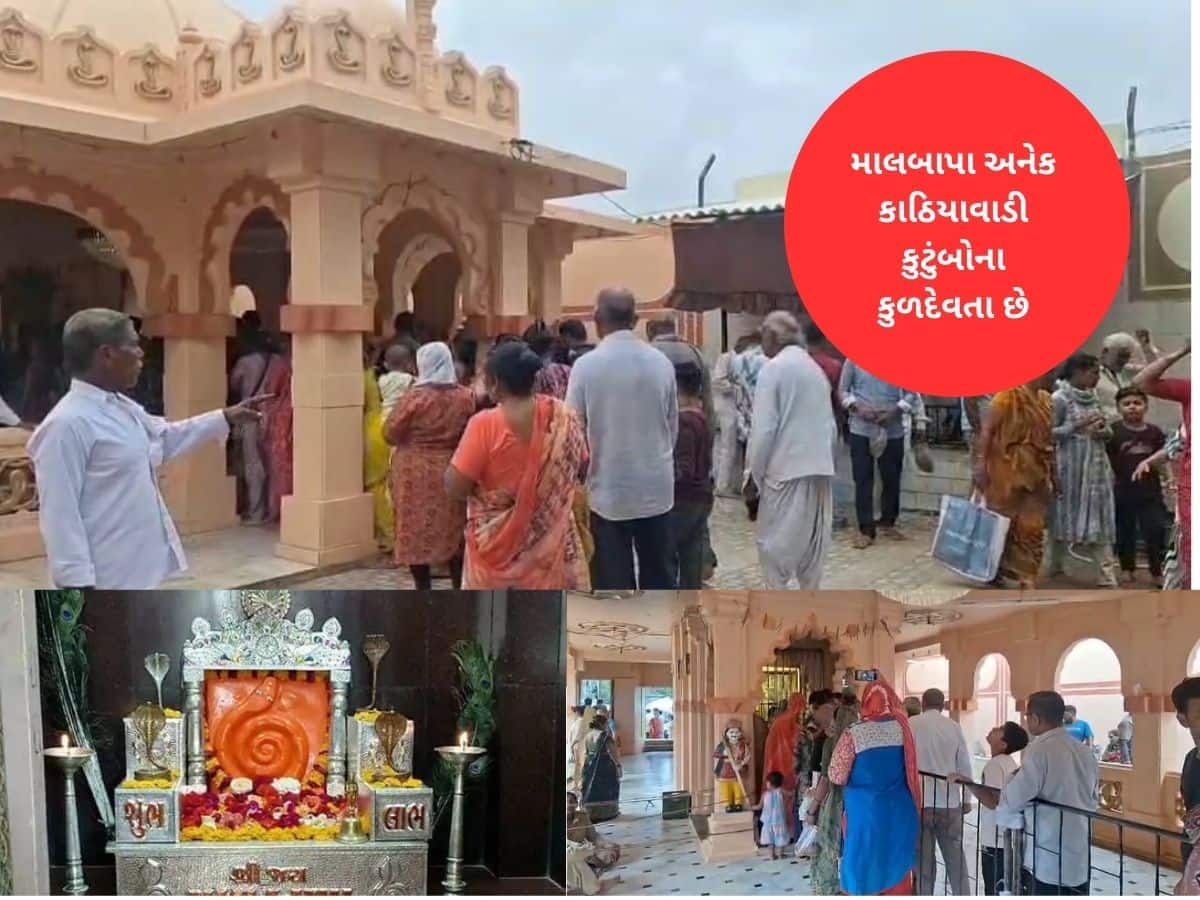 ગુજરાતનું અનોખું નાગ મંદિર : વર-કન્યાના વિવાદો, છેડાછેડી જેવી માનતાઓ પૂરી કરે છે માલબાપા  