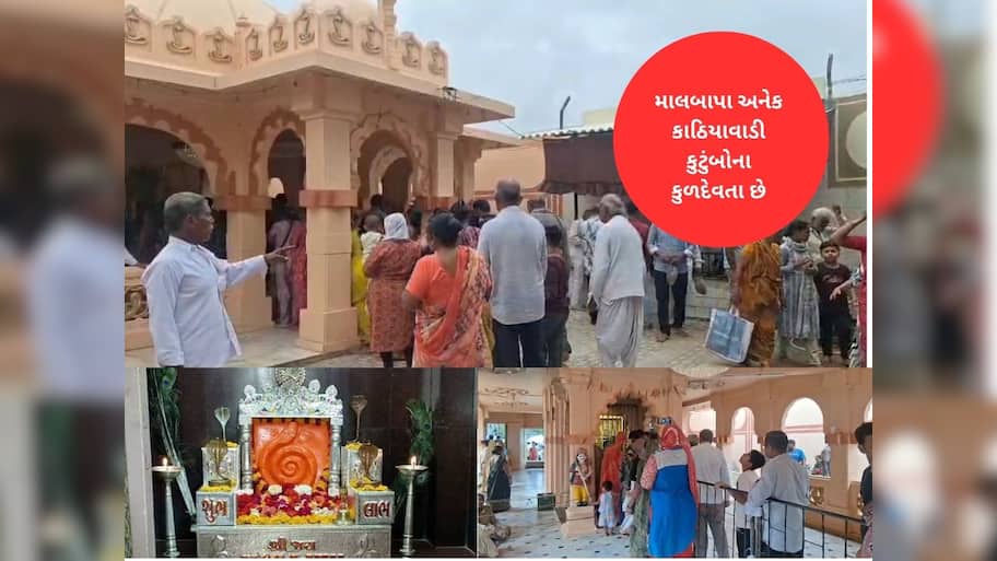 ગુજરાતનું અનોખું નાગ મંદિર : વર-કન્યાના વિવાદો, છેડાછેડી જેવી માનતાઓ પૂરી કરે છે માલબાપા  
