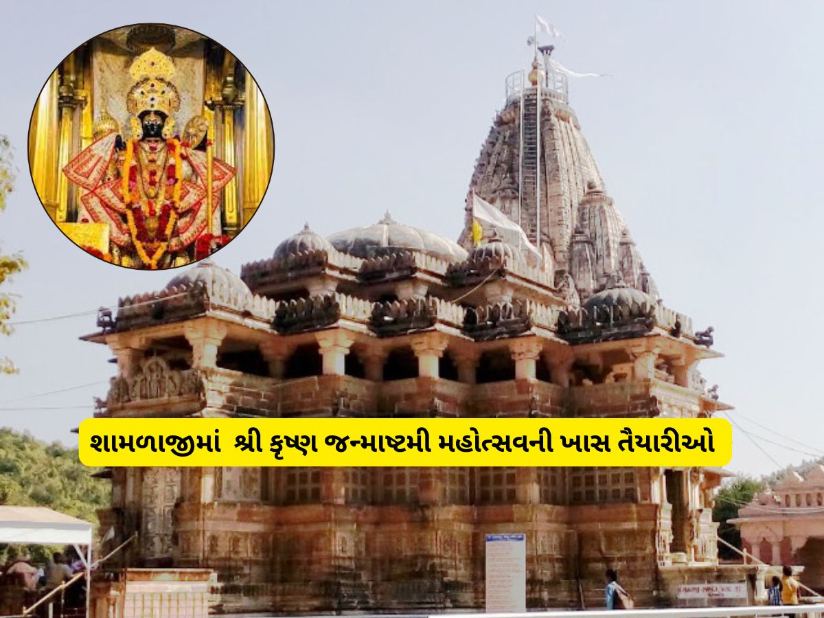 Janmashtami 2025 : શામળાજી બન્યું ગોકુળ અને વૃંદાવન, જન્માષ્ટમી પહેલા મંદિરમાં દર્શનનું શિડ્યુલ આવી ગયું Janmashtami 2025 : શામળાજી બન્યું ગોકુળ અને વૃંદાવન, જન્માષ્ટમી પહેલા મંદિરમાં દર્શનનું શિડ્યુલ આવી ગયું