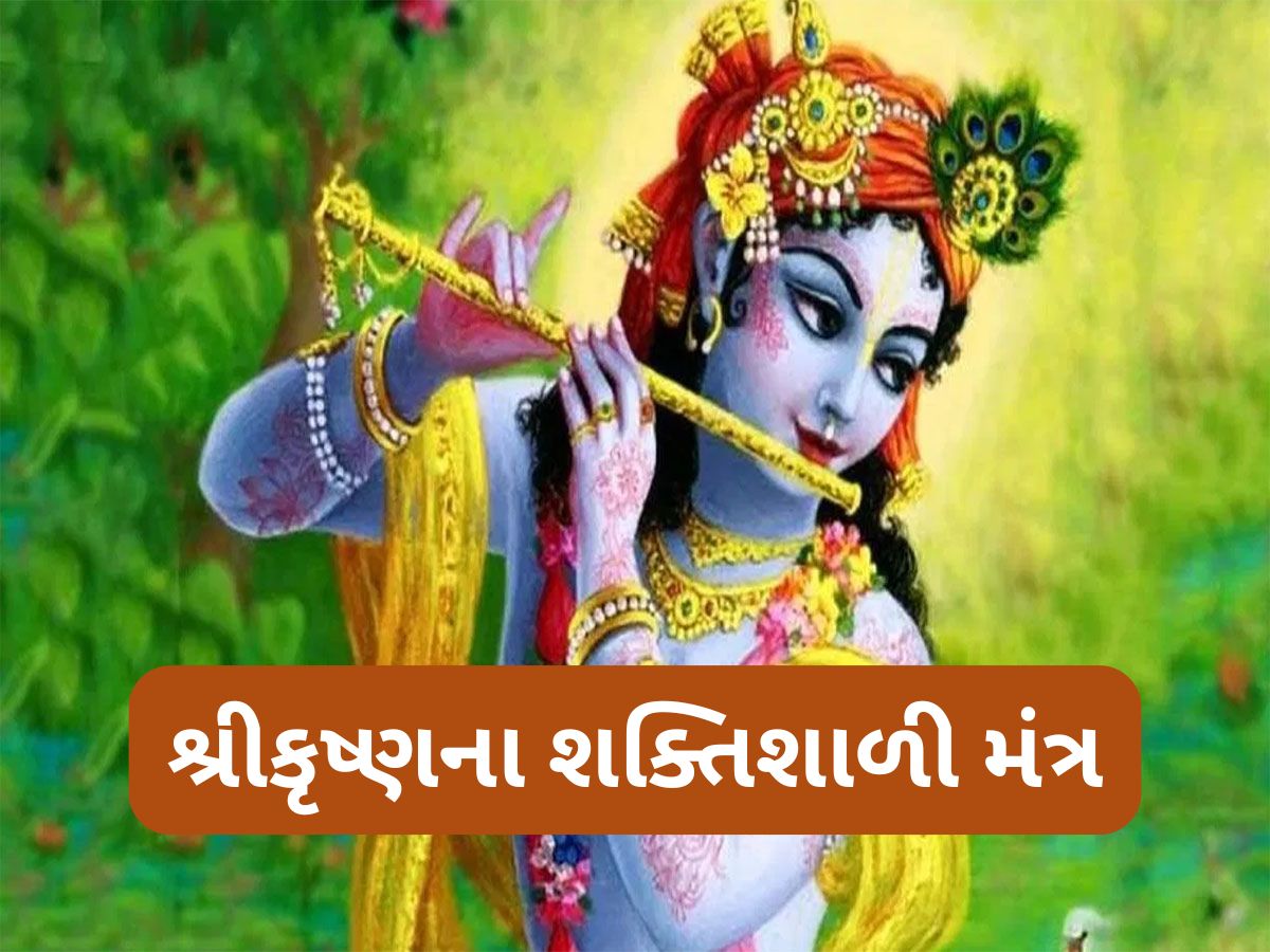 Janmashtami 2025: જન્માષ્ટમીના પર્વ પર કરો શ્રીકૃષ્ણના શક્તિશાળી મંત્રોનો જાપ, મનની દરેક ઈચ્છા થશે પુરી Janmashtami 2025: જન્માષ્ટમીના પર્વ પર કરો શ્રીકૃષ્ણના શક્તિશાળી મંત્રોનો જાપ, મનની દરેક ઈચ્છા થશે પુરી