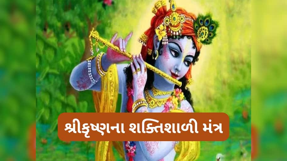 Janmashtami 2025: જન્માષ્ટમીના પર્વ પર કરો શ્રીકૃષ્ણના શક્તિશાળી મંત્રોનો જાપ, મનની દરેક ઈચ્છા થશે પુરી
