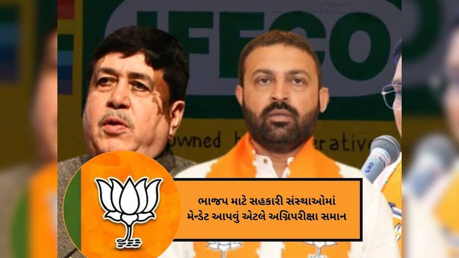 ભાજપના ગળામાં ફસાયેલું હાડકું બન્યું મેન્ડેટ! આગામી ચૂંટણીમાં નવા રાદડિયા-સંઘાણી ઉભા થવાની ચિંતા 