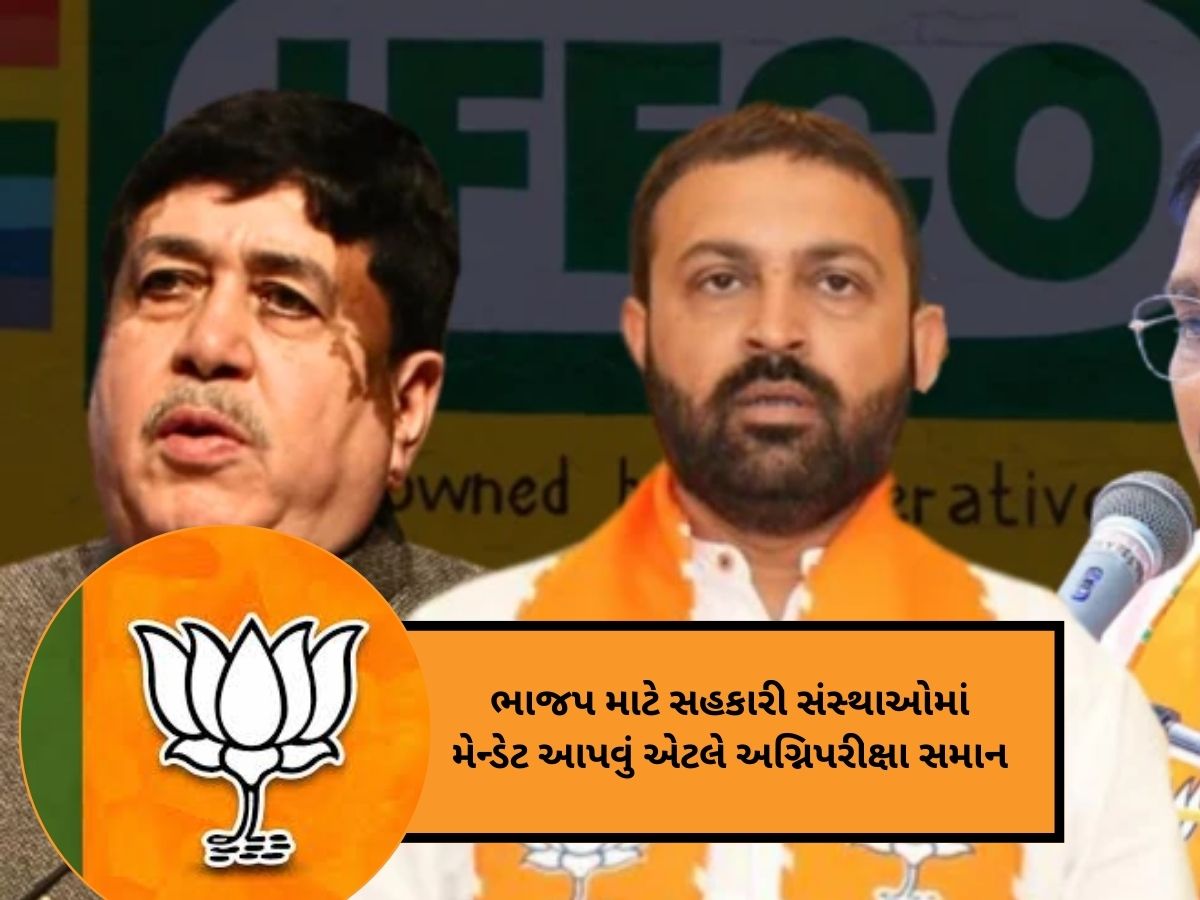 ભાજપના ગળામાં ફસાયેલું હાડકું બન્યું મેન્ડેટ! આગામી ચૂંટણીમાં નવા રાદડિયા-સંઘાણી ઉભા થવાની ચિંતા ભાજપના ગળામાં ફસાયેલું હાડકું બન્યું મેન્ડેટ! આગામી ચૂંટણીમાં નવા રાદડિયા-સંઘાણી ઉભા થવાની ચિંતા